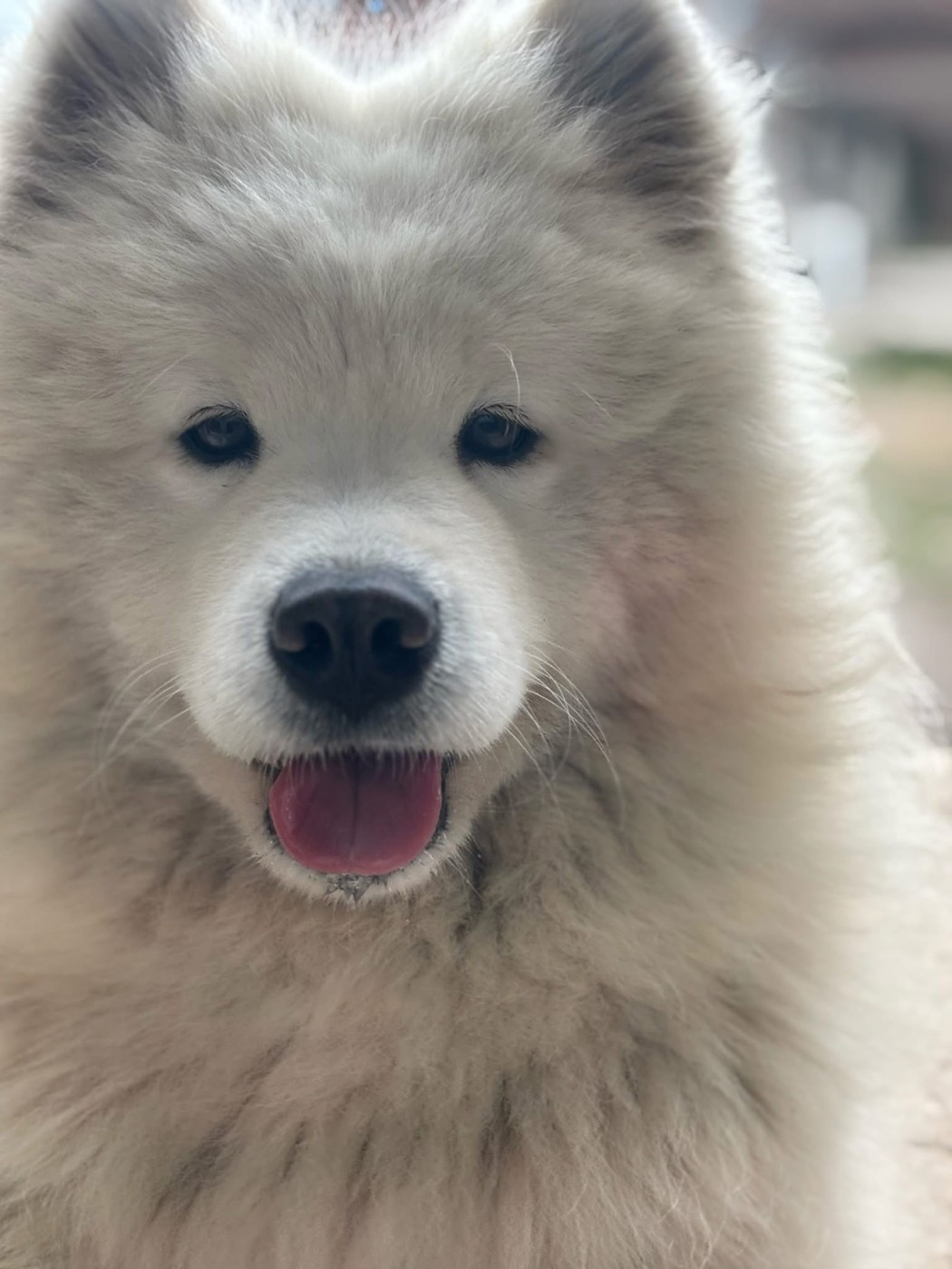 crystal snowflake Gemstone Goya