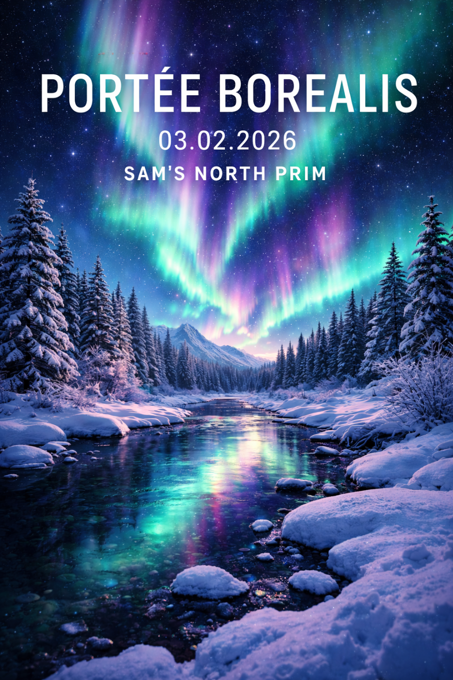 Sam's North Prim - Samoyède - Portée née le 03/02/2026